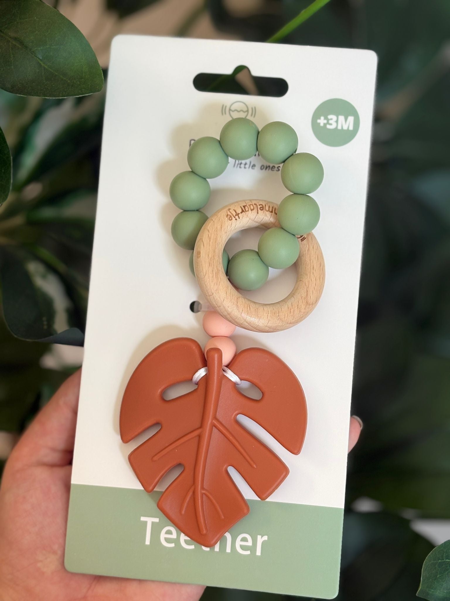 Mordedor monstera